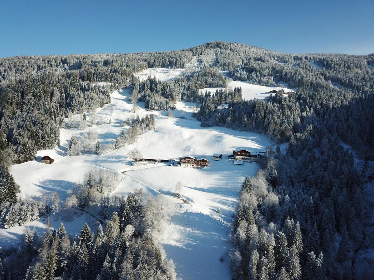 Pension Bergbauernhof Irxner Pichl-Preunegg Екстериор снимка