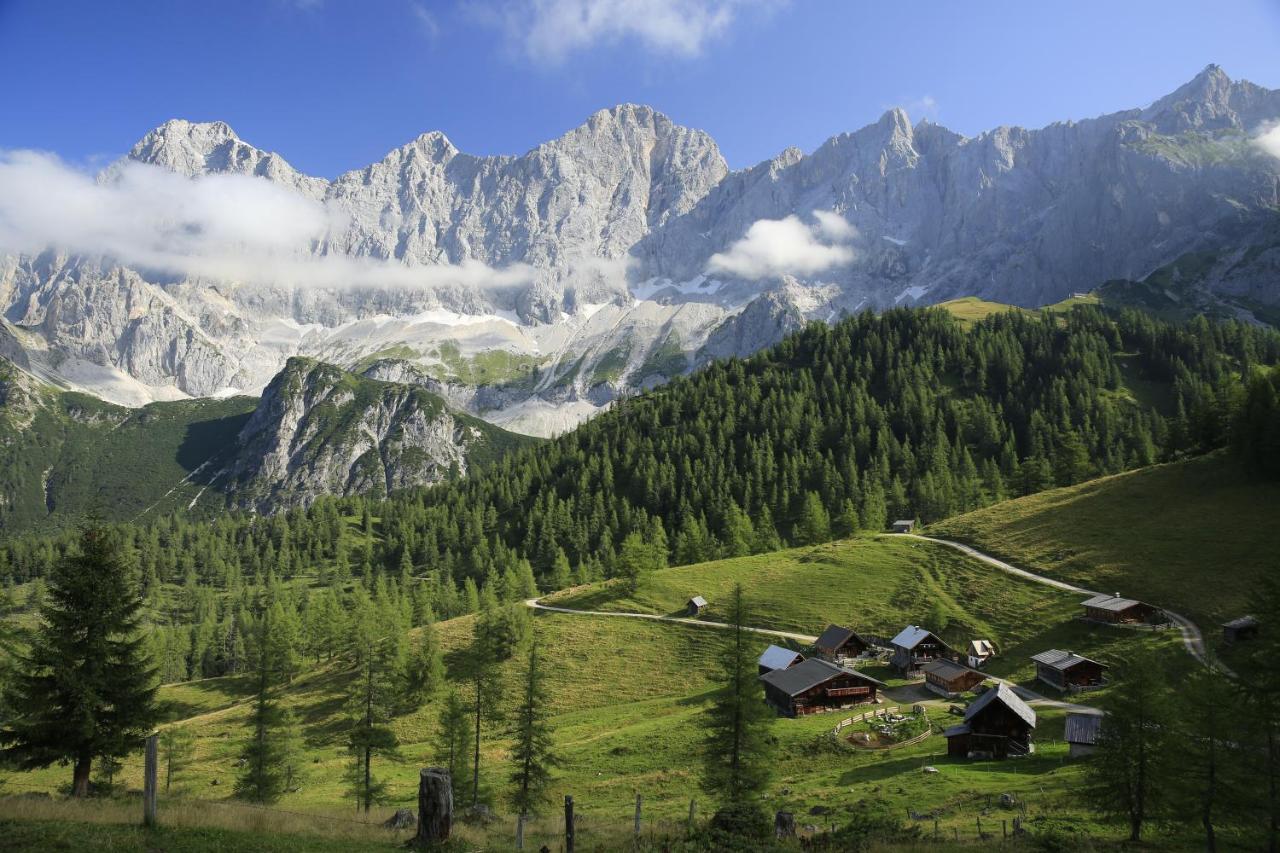Pension Bergbauernhof Irxner Pichl-Preunegg Екстериор снимка